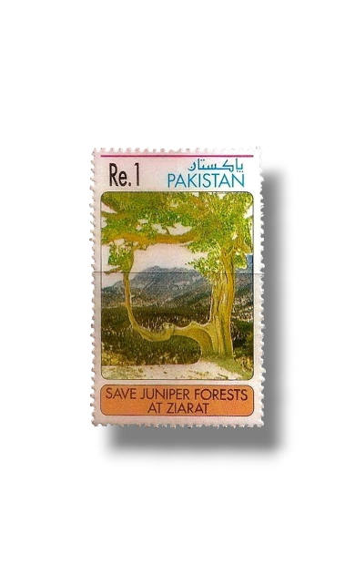 1993 PK907a Campaign to Save the Juniper Forest Ziarat