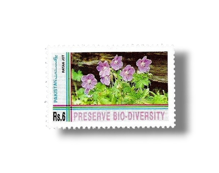 1994 PK915 Biological Diversity Convention Ratan Jot ( flower )