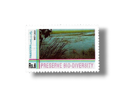 1994 PK916 Biological Diversity Convention Wetlands habitat