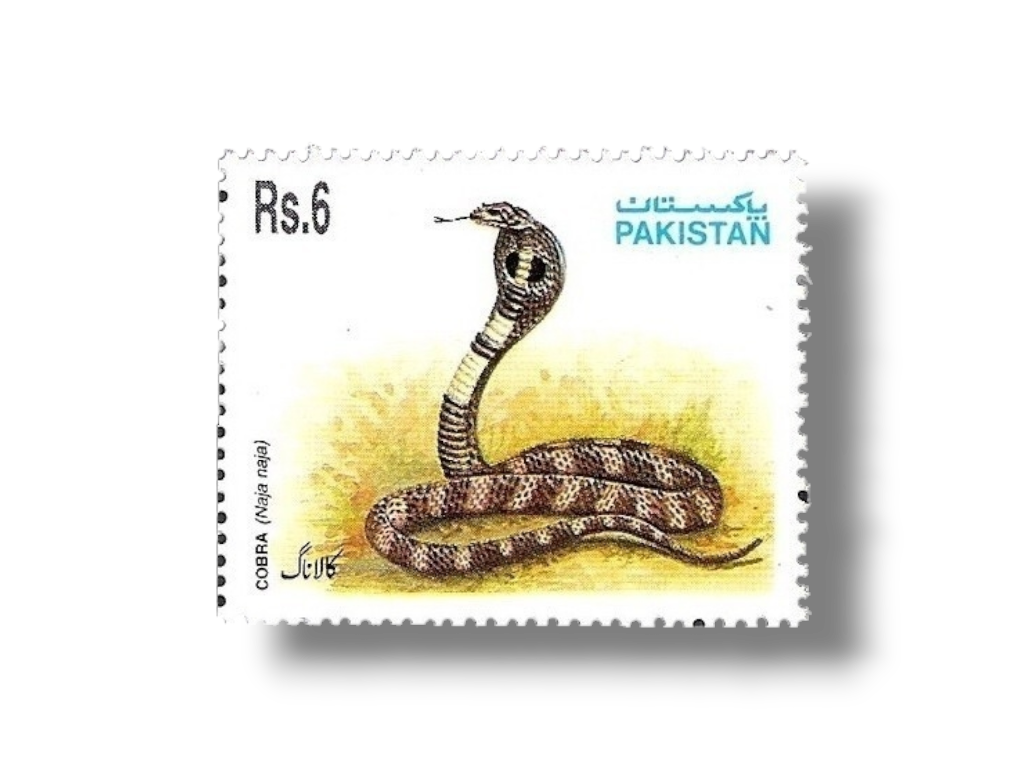 1995 PK954 Snakes Indian Cobra (Naja naja)