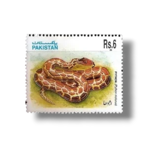 1995 PK955 Snakes Indian Rock Python (Python molurus)