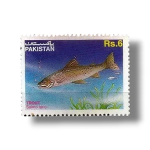1995 PK965 Brown Trout Salmo trutta f fario