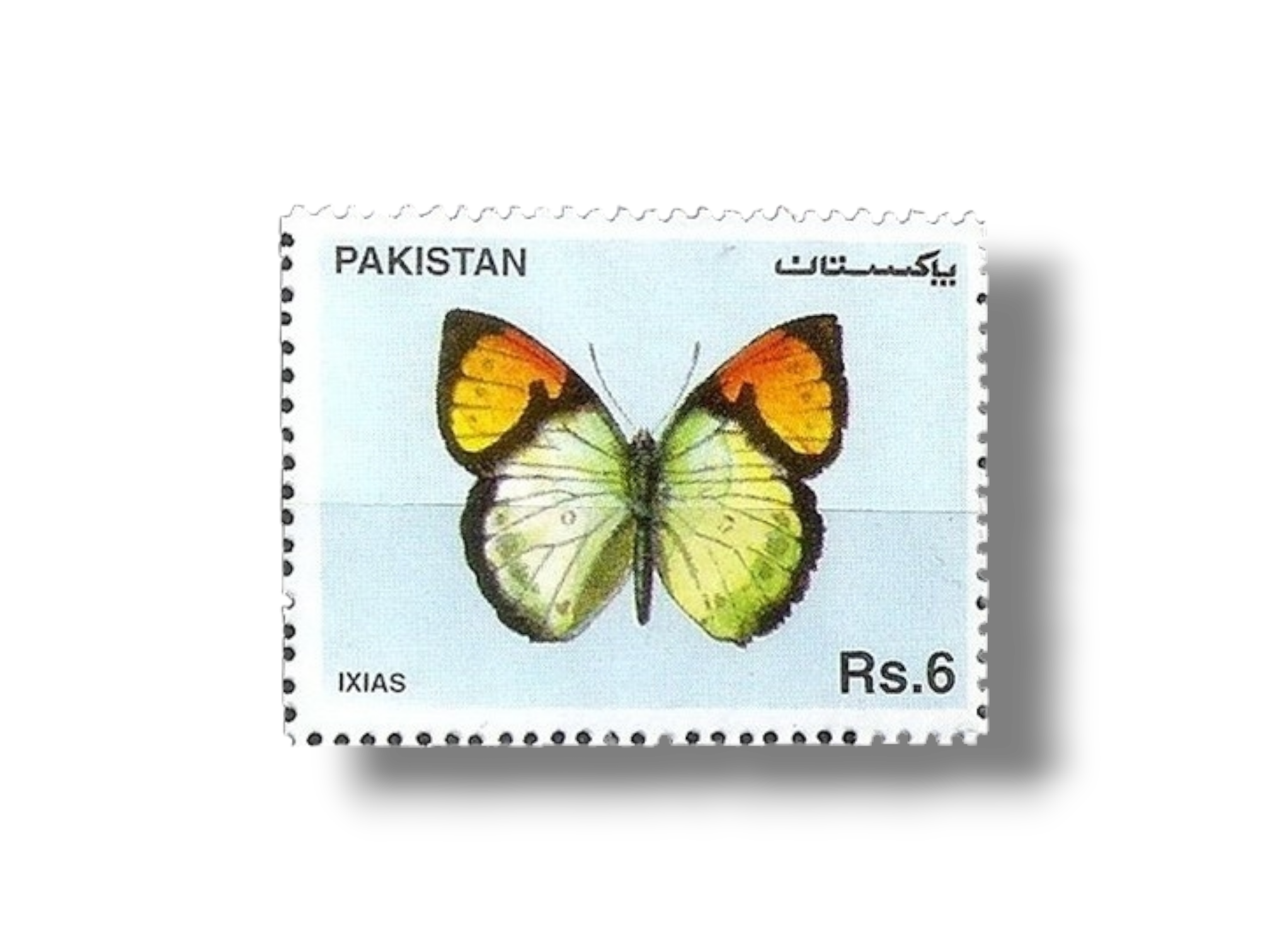 1995 PK969 Butterflies (1995). Yellow Orange Tip (Ixias pyrene)