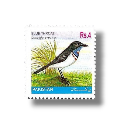 2001 PK1145 Bluethroat Luscinia svecica