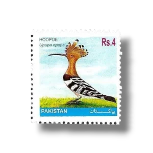 2001 PK1146 Eurasian Hoopoe Upupa epops