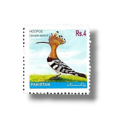 2001 PK1146 Eurasian Hoopoe Upupa epops
