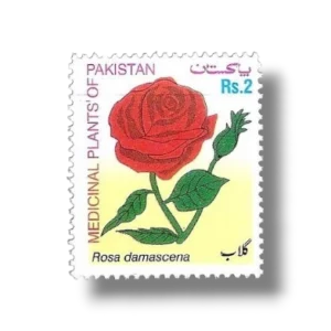 2003 PK1185 MEDICINAL PLANTS OF PAKISTAN SERIES ROSA DAMASCENE Rose Gul e Surkh