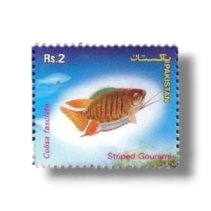 2004 PK1264 Popular Aquarium Varieties of Tropical fish
