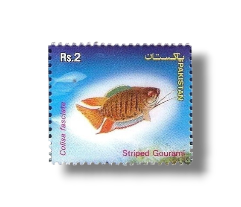 2004 PK1264 Popular Aquarium Varieties of Tropical fish