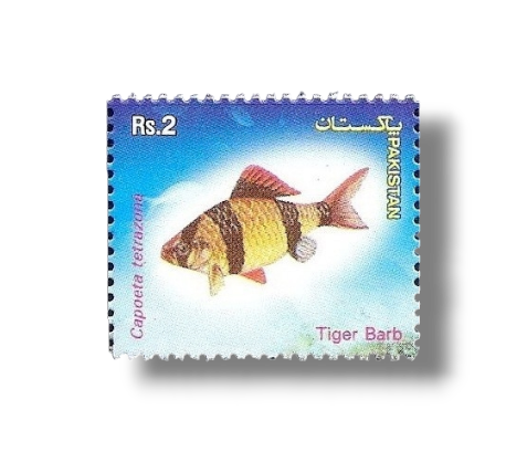 2004 PK1267 Popular Aquarium Varieties of Tropical fish