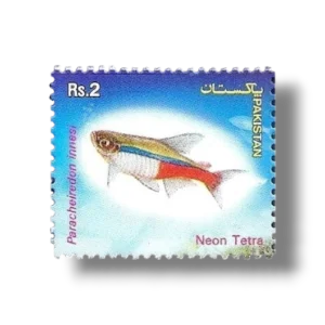 2004 PK1268 Popular Aquarium Varieties of Tropical fish