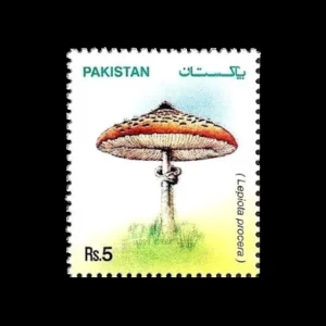 2005 PK1295 Lepiota procera Mushrooms