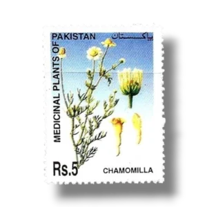 2006 Pk1334 Medicinal Plants of Pakistan Chamomilla