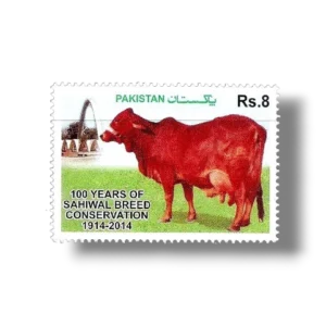 2014 PK1513 Sahiwal Cattle (Bos primigenius indicus)