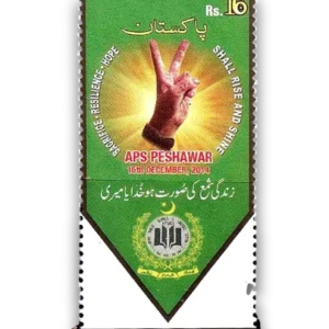 2015 PK1547 Gruesome Incident of the Army School, Peshawar