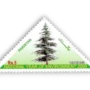 National Year of Environment National Tree Deodar