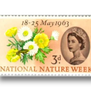 National Nature Week Honey Bee